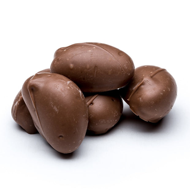 stefanelli's milk chocolate covered brazil nuts