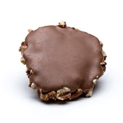 stefanelli's milk chocolate pecan frogs